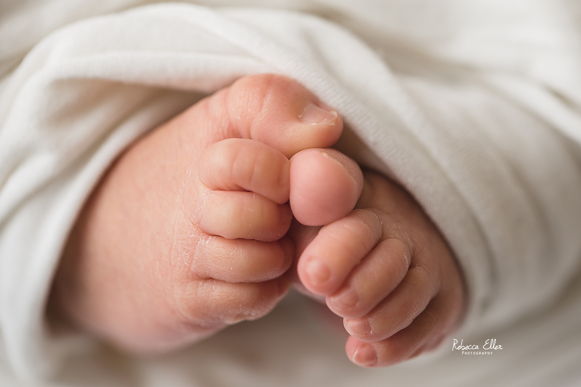 Affordable Newborn photography Dallas Fort Worth / Dallas Newborn